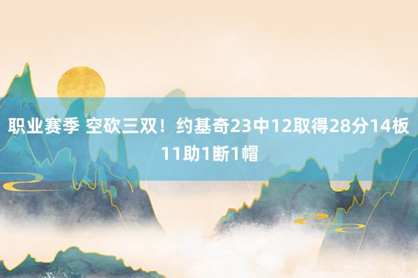 职业赛季 空砍三双！约基奇23中12取得28分14板11助1断1帽