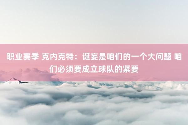 职业赛季 克内克特：诞妄是咱们的一个大问题 咱们必须要成立球队的紧要