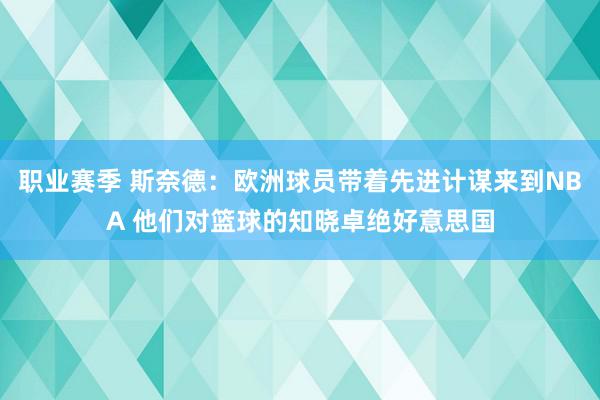 职业赛季 斯奈德：欧洲球员带着先进计谋来到NBA 他们对篮球的知晓卓绝好意思国