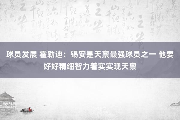 球员发展 霍勒迪：锡安是天禀最强球员之一 他要好好精细智力着实实现天禀