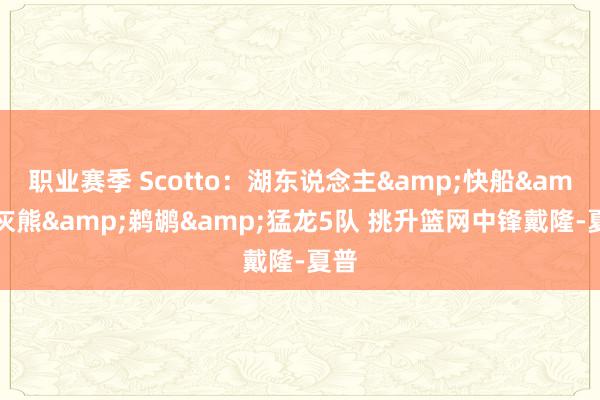 职业赛季 Scotto：湖东说念主&快船&灰熊&鹈鹕&猛龙5队 挑升篮网中锋戴隆-夏普