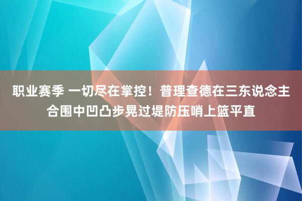 职业赛季 一切尽在掌控！普理查德在三东说念主合围中凹凸步晃过堤防压哨上篮平直