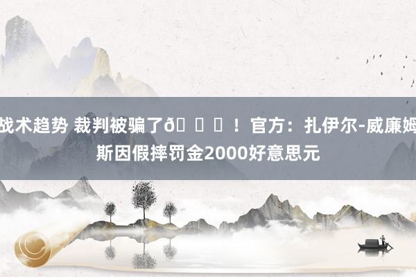 战术趋势 裁判被骗了😅！官方：扎伊尔-威廉姆斯因假摔罚金20