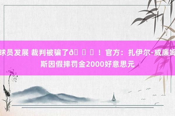 球员发展 裁判被骗了😅！官方：扎伊尔-威廉姆斯因假摔罚金20