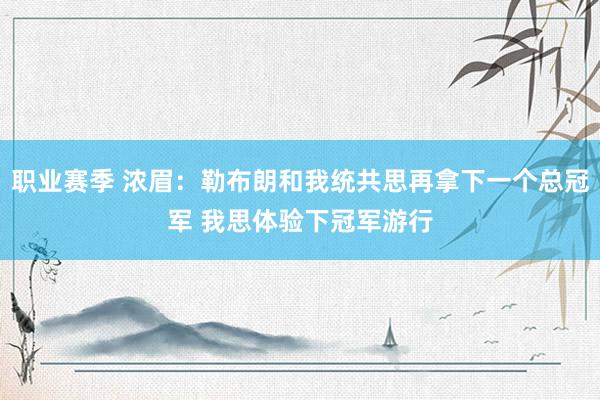 职业赛季 浓眉：勒布朗和我统共思再拿下一个总冠军 我思体验下