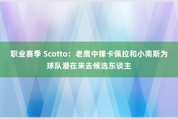 职业赛季 Scotto：老鹰中锋卡佩拉和小南斯为球队潜在来去