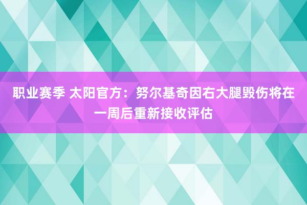 职业赛季 太阳官方：努尔基奇因右大腿毁伤将在一周后重新接收评